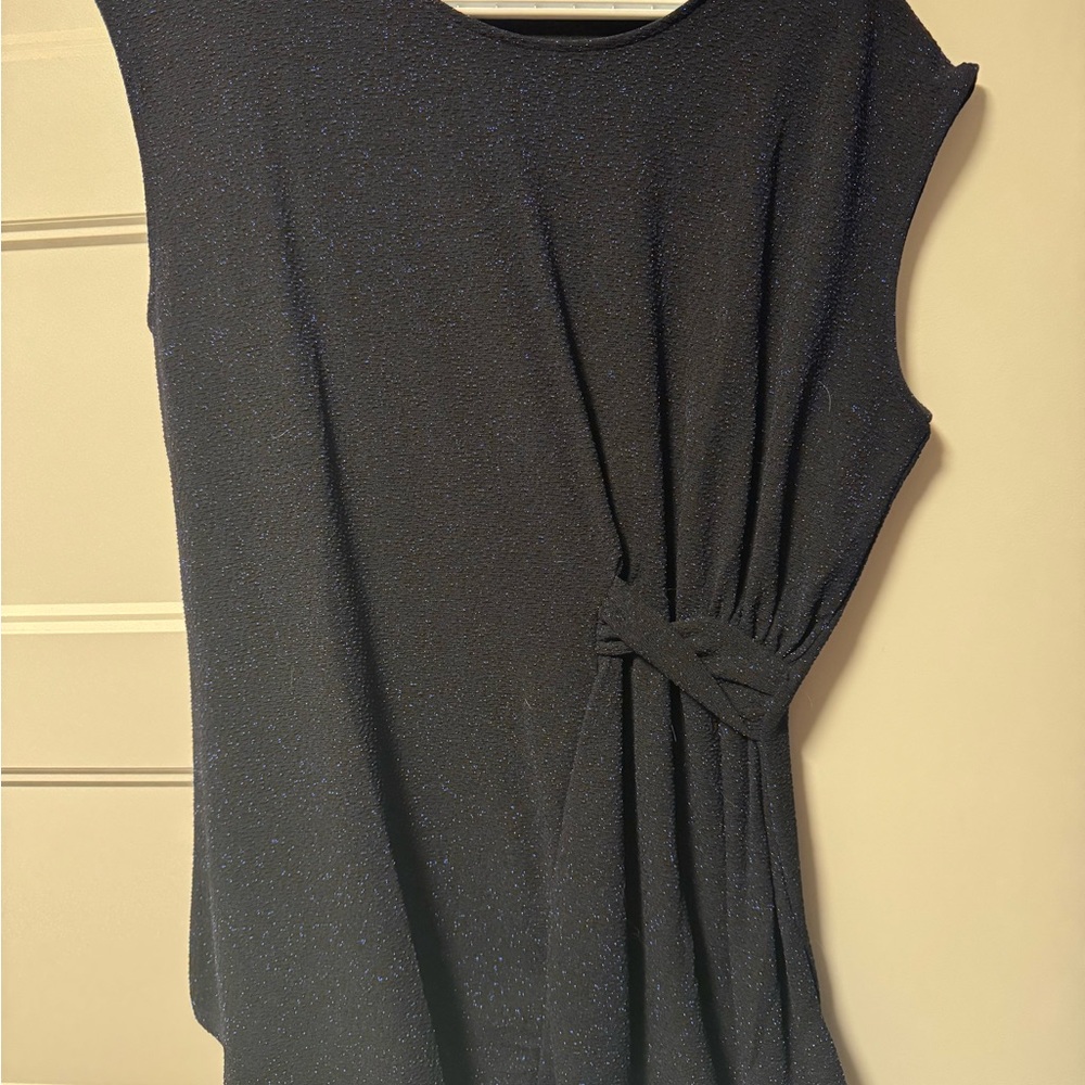 Elegant sparkly Sleeveless Top